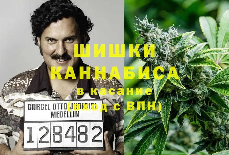 Шишки марихуана Ganja  Опочка 